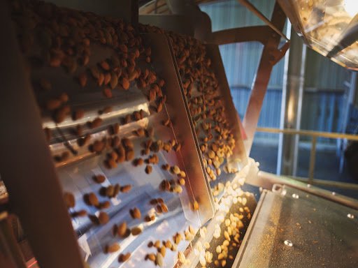 sustainable-almond-processing.jpeg