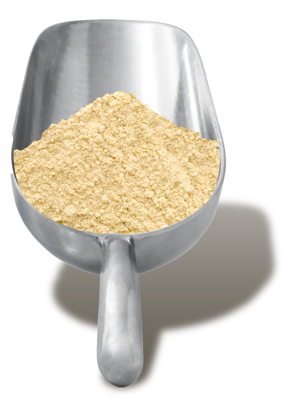 Blanched-Almond-Powder-1200x1727