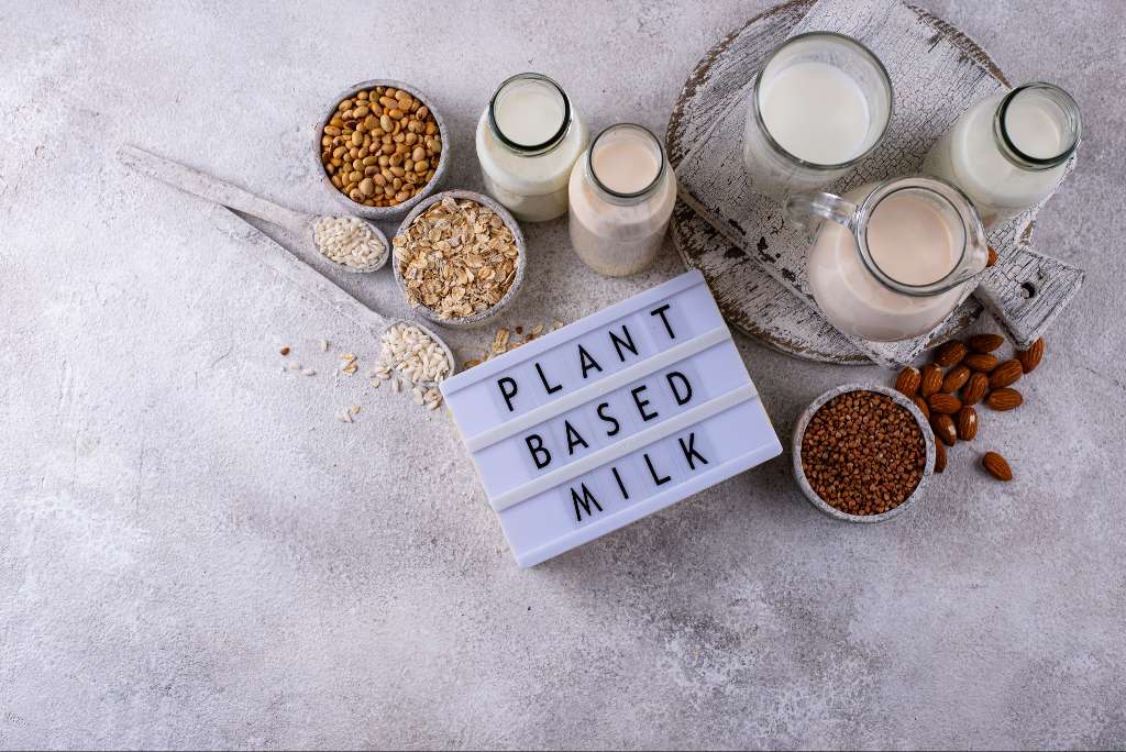 High Protein Plant-Based Milk Base