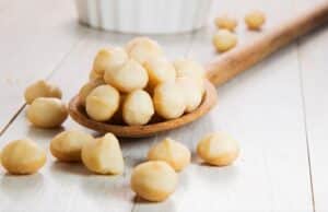 Custom Macadamia Butter Solutions